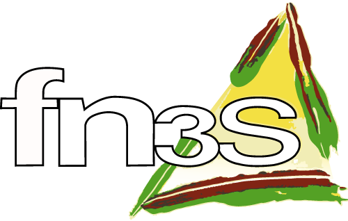 Logo FN3S