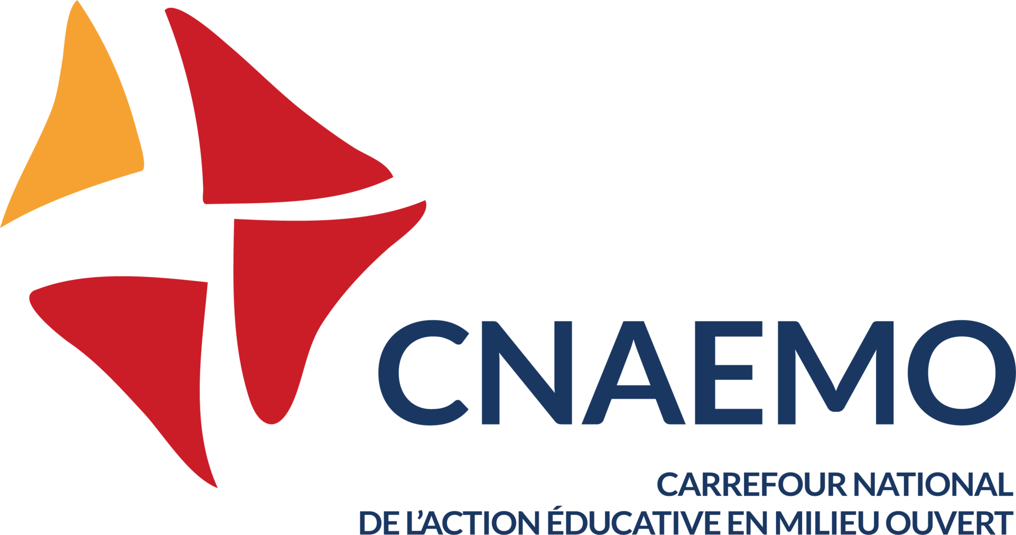 Logo CNAEMO